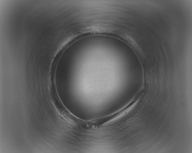 X0000062610488200601040943