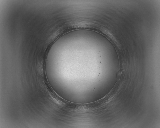 X0000062610489200601040943