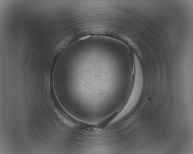 X0000062610493200601040943