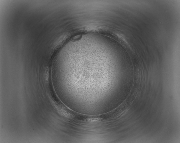 X0000062610495200601040943