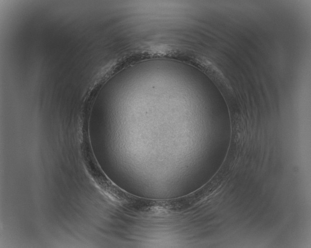 X0000062610496200601040943