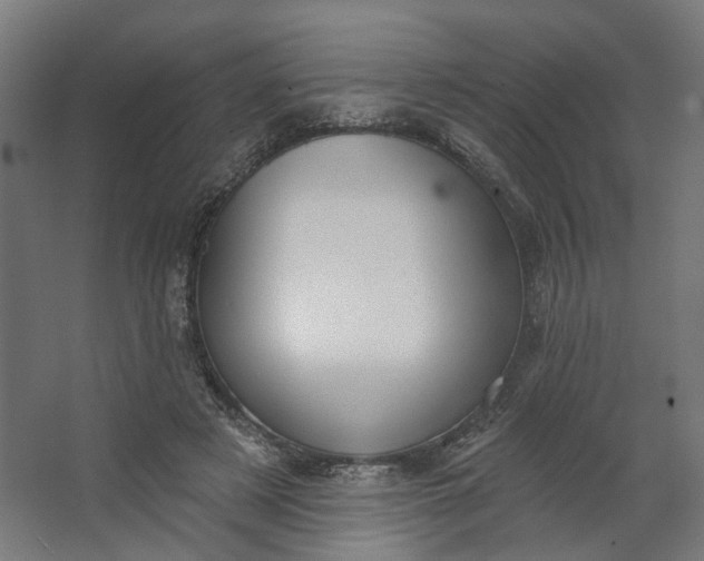 X0000062610497200601040943