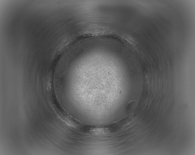 X0000062610499200601040943