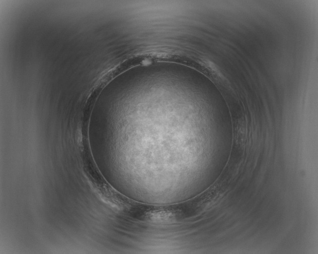 X0000062610500200601040943