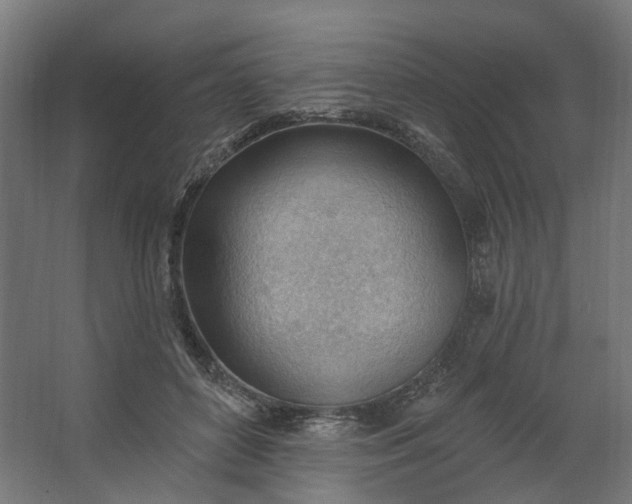 X0000062610504200601040943