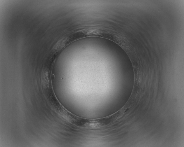 X0000062610506200601040943