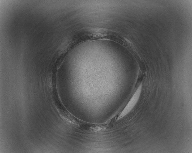 X0000062610512200601040942