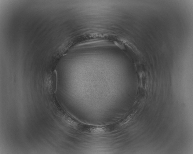 X0000062610513200601040942