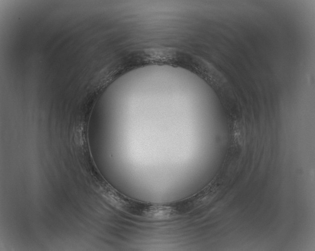 X0000062610514200601040942