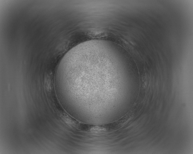 X0000062610515200601040942