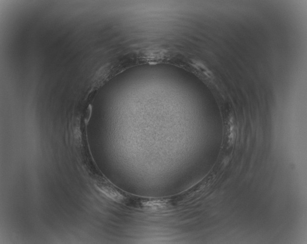 X0000062610516200601040942