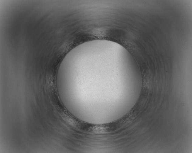 X0000062610518200601040942