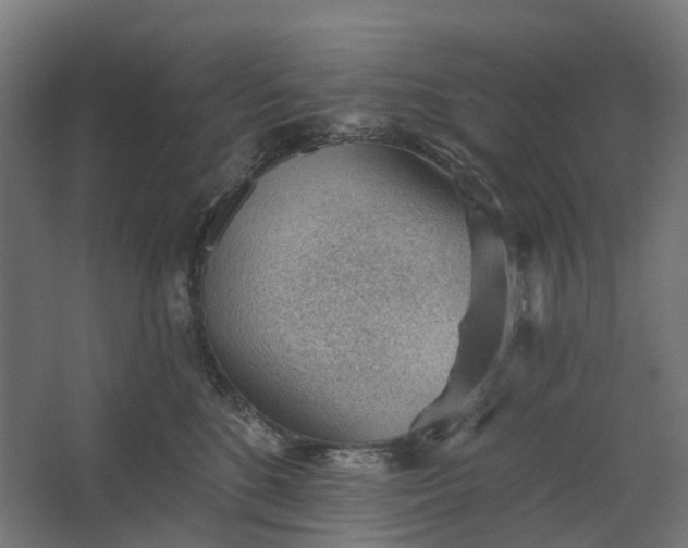 X0000062610520200601040942