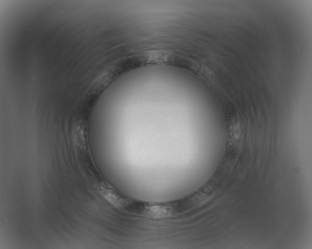 X0000062610522200601040942