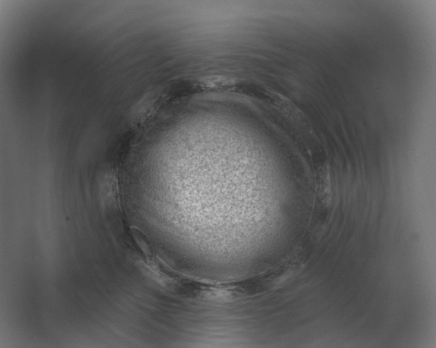 X0000062610523200601040942