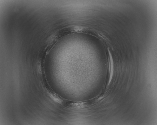 X0000062610524200601040942