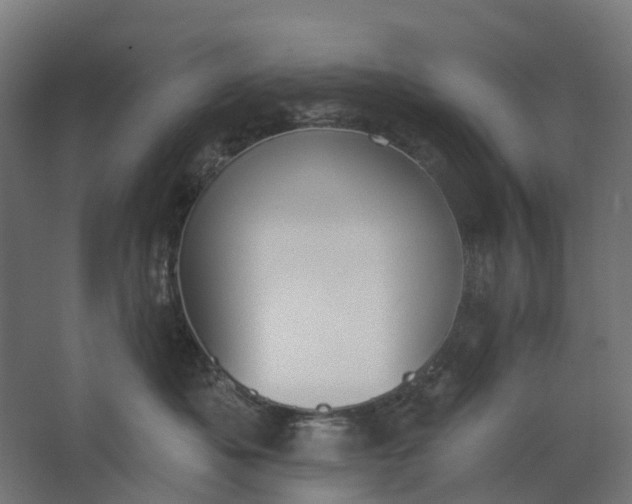 X0000062610525200601040942