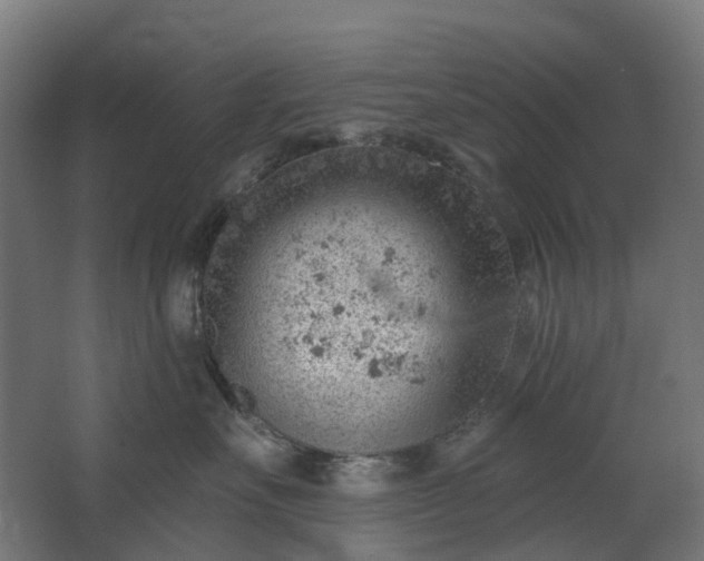 X0000062610527200601040942