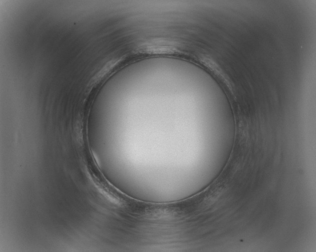 X0000062610533200601040941