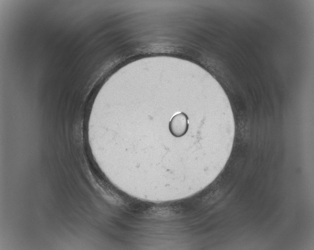 X0000062610534200601040941