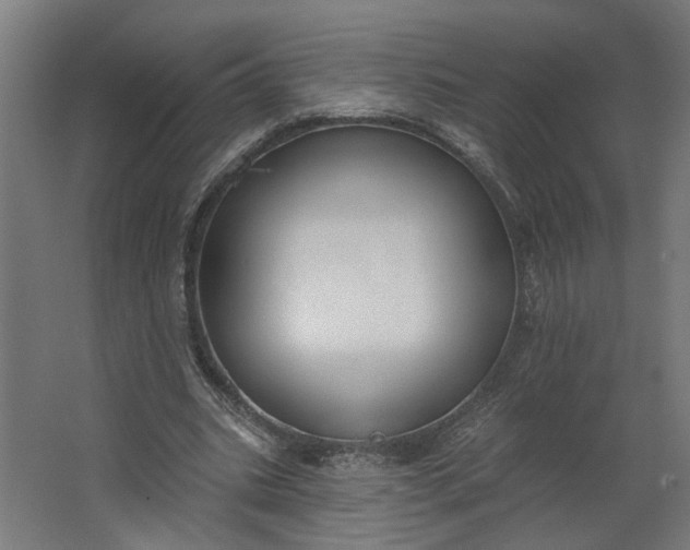 X0000062610535200601040941