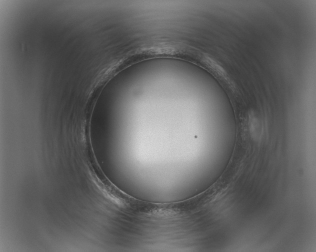 X0000062610537200601040942