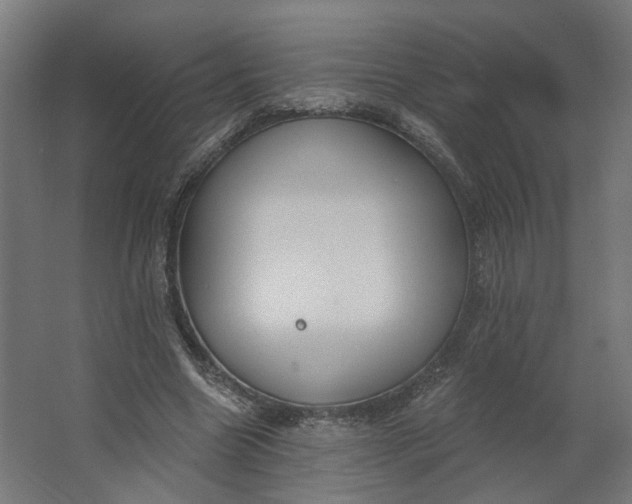 X0000062610538200601040942