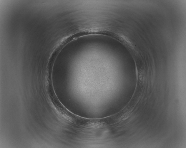 X0000062610540200601040942