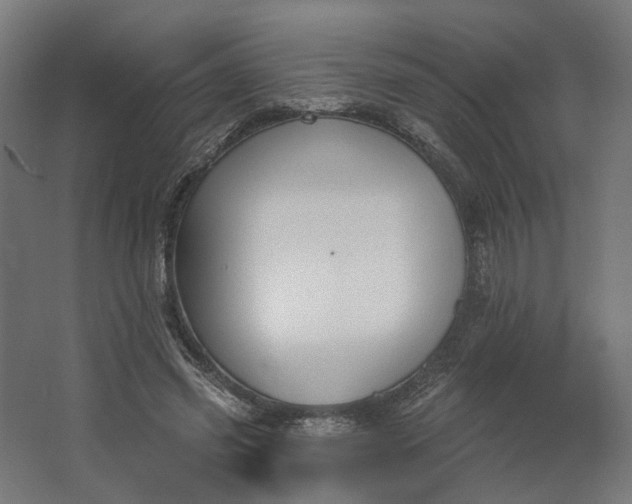 X0000062610541200601040942