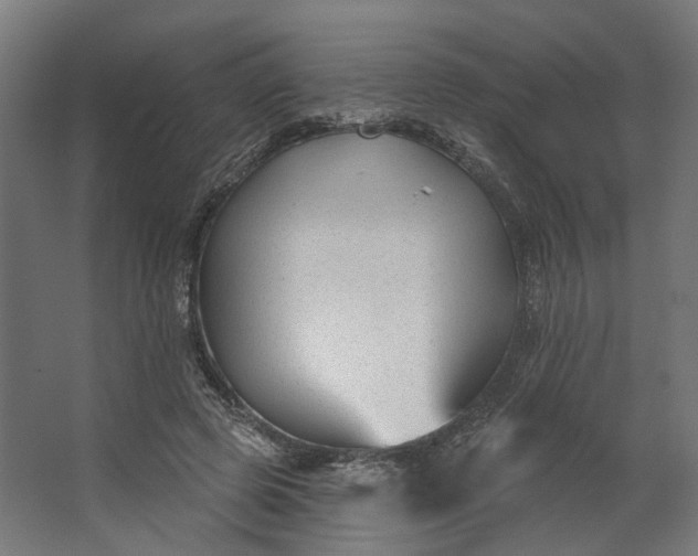 X0000062610545200601040942