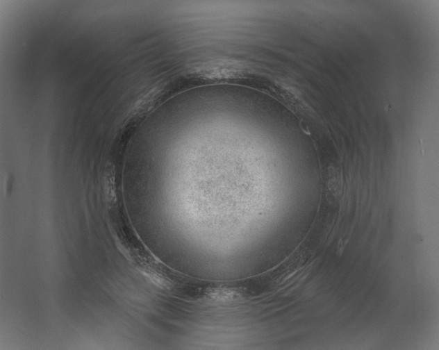 X0000062610547200601040942