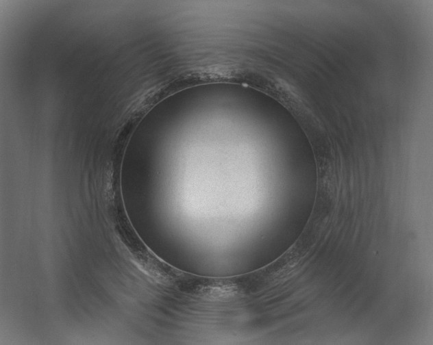 X0000062610548200601040942