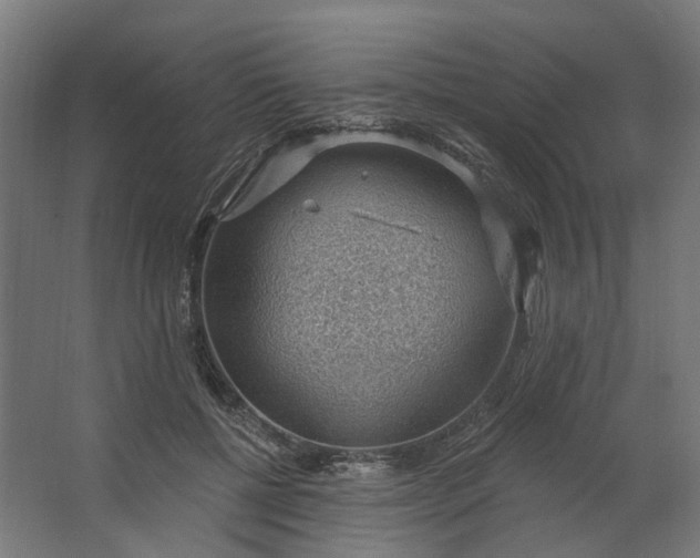 X0000062610552200601040942