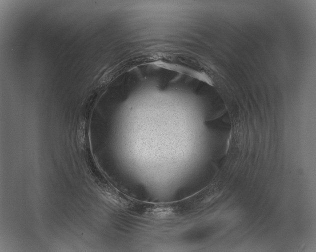 X0000062610554200601040942