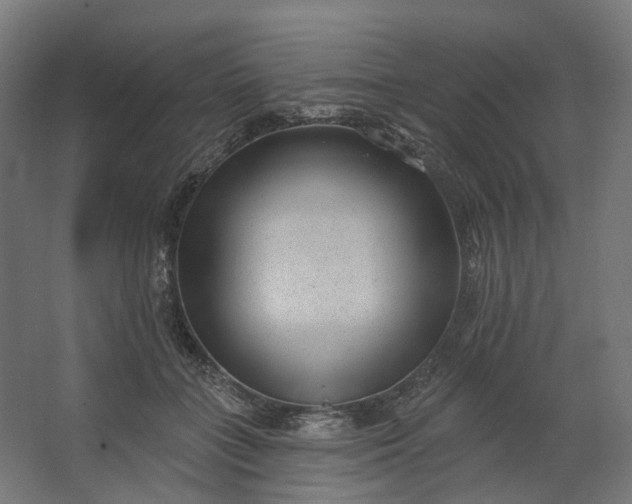 X0000062610555200601040942