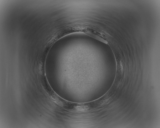 X0000062610556200601040942