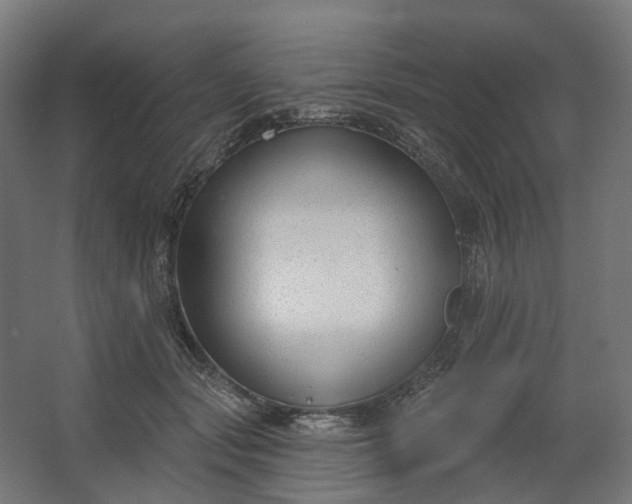 X0000062610557200601040942