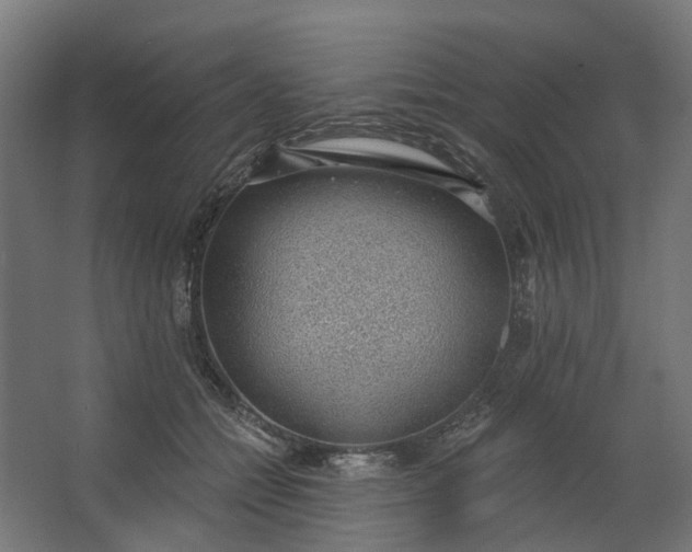 X0000062610558200601040942