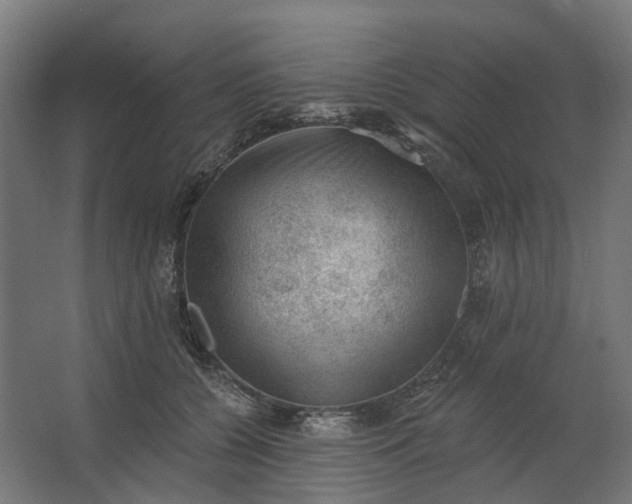 X0000062610560200601040942