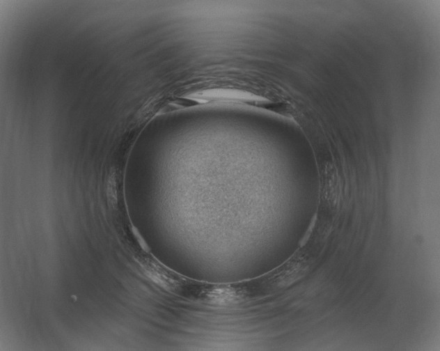 X0000062610562200601040942