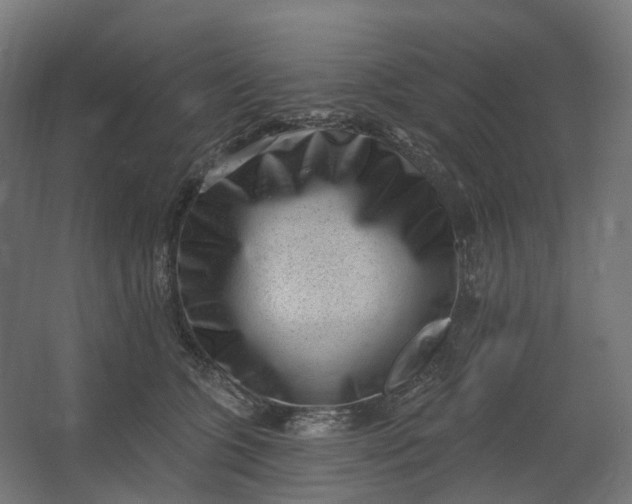 X0000062610563200601040942