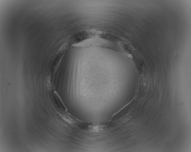 X0000062610564200601040942