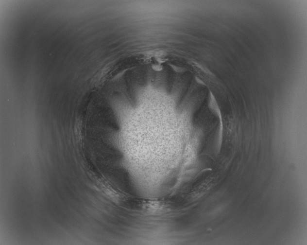 X0000062610565200601040942