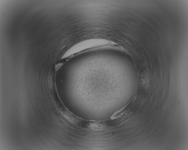 X0000062610568200601040942