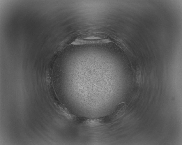 X0000062610569200601040942