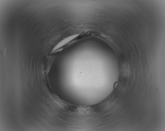 X0000062610571200601040942