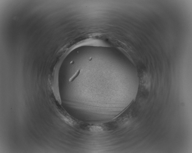 X0000062610572200601040942