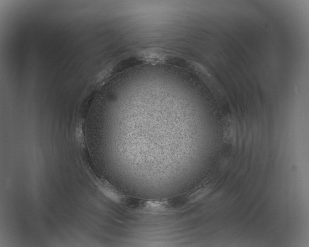 X0000062610573200601040942