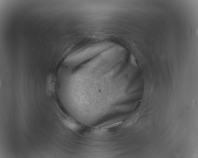 X0000062610576200601040942