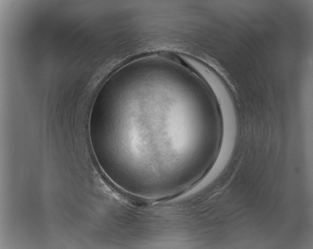 X0000062610577200601040941